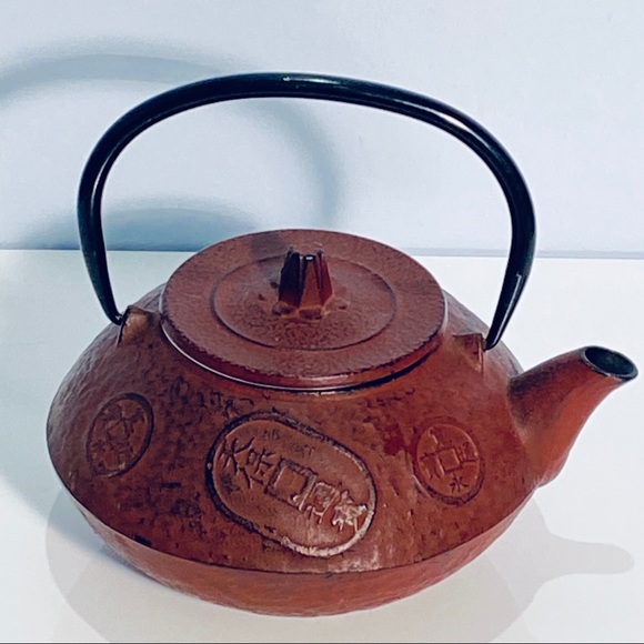 Japanese Cast Iron Tea Pot Infuser